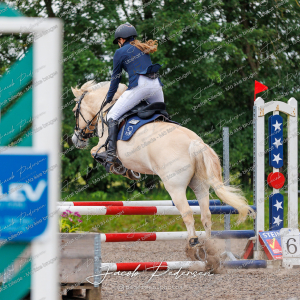 Nibe_Klasse_18_JM_Junior_Spring-19