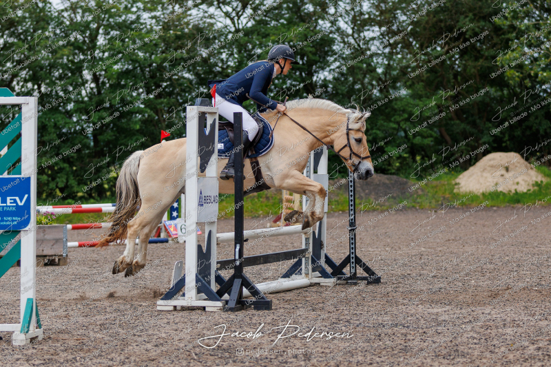 Nibe_Klasse_18_JM_Junior_Spring-2