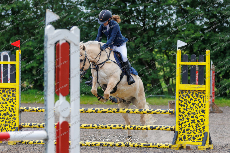Nibe_Klasse_18_JM_Junior_Spring-20