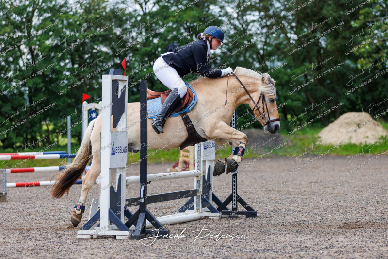 Nibe_Klasse_18_JM_Junior_Spring-25