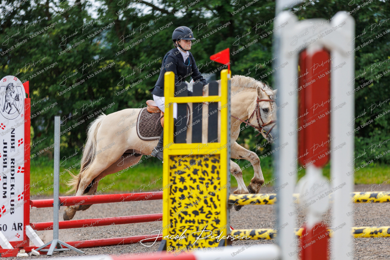 Nibe_Klasse_18_JM_Junior_Spring-31