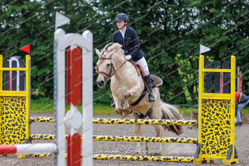 Nibe_Klasse_18_JM_Junior_Spring-34