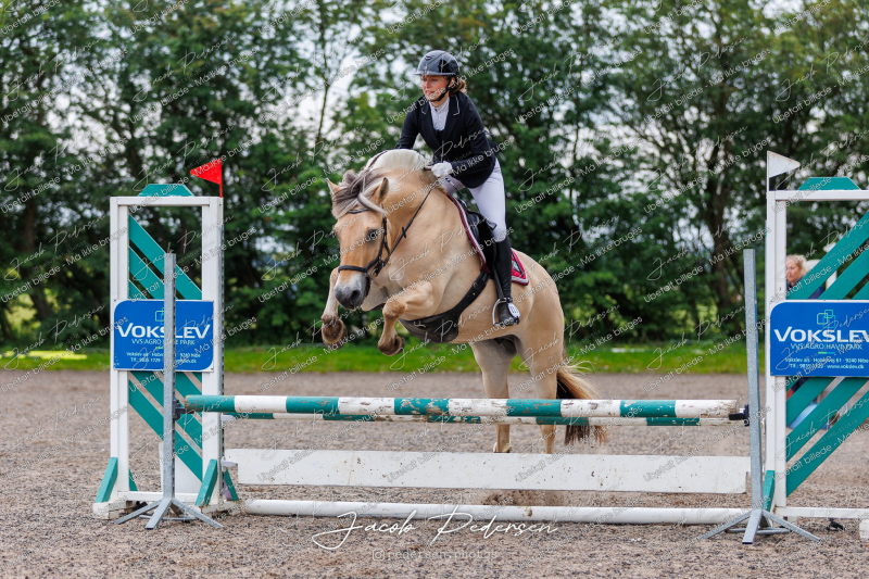 Nibe_Klasse_18_JM_Junior_Spring-38