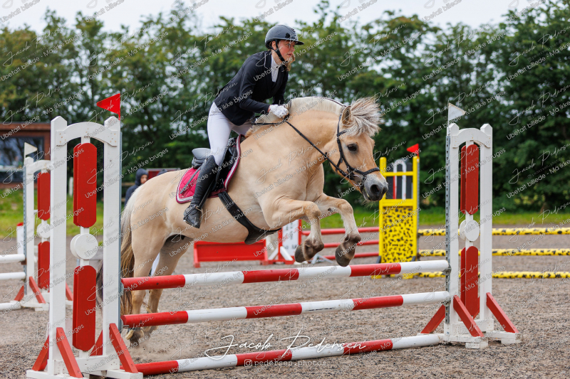 Nibe_Klasse_18_JM_Junior_Spring-42