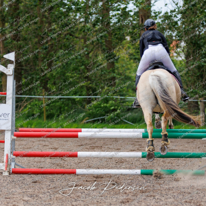 Nibe_Klasse_18_JM_Junior_Spring-43