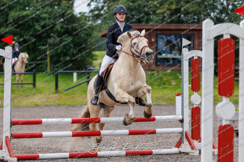 Nibe_Klasse_18_JM_Junior_Spring-49