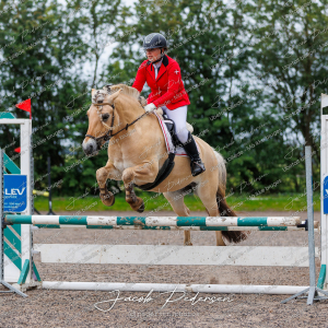 Nibe_Klasse_19_JM_Senior_Spring-1
