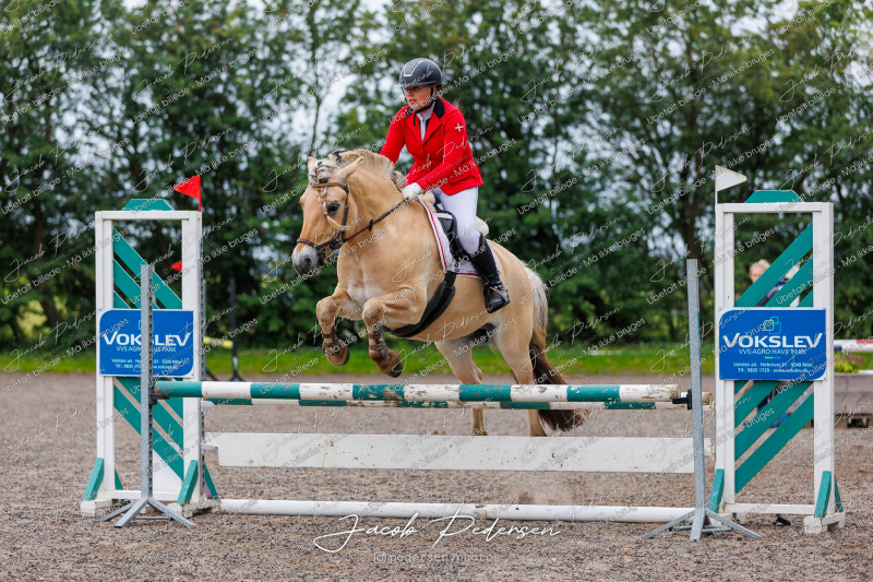 Nibe_Klasse_19_JM_Senior_Spring-1