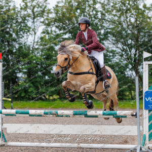 Nibe_Klasse_19_JM_Senior_Spring-10