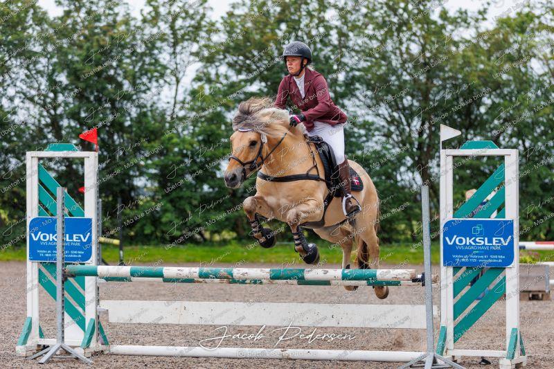 Nibe_Klasse_19_JM_Senior_Spring-10