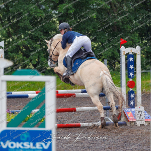 Nibe_Klasse_19_JM_Senior_Spring-100