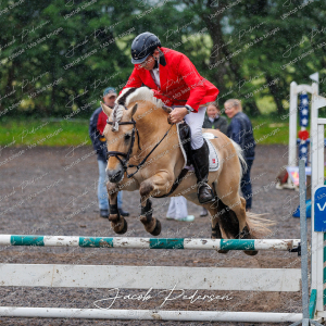 Nibe_Klasse_19_JM_Senior_Spring-106