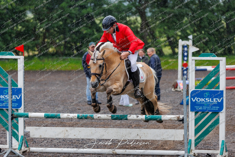 Nibe_Klasse_19_JM_Senior_Spring-106