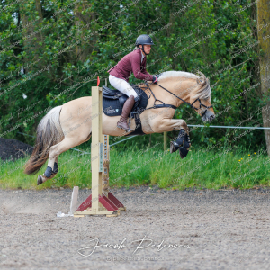 Nibe_Klasse_19_JM_Senior_Spring-12
