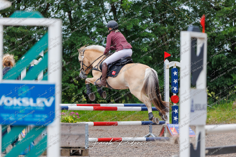 Nibe_Klasse_19_JM_Senior_Spring-13