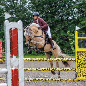 Nibe_Klasse_19_JM_Senior_Spring-14