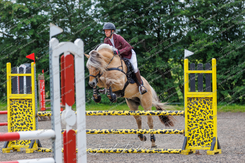 Nibe_Klasse_19_JM_Senior_Spring-14