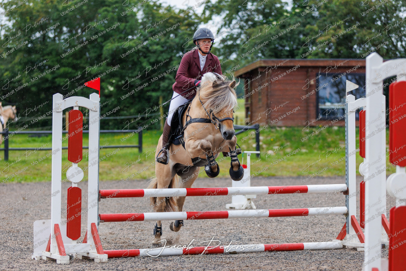 Nibe_Klasse_19_JM_Senior_Spring-15