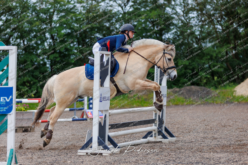Nibe_Klasse_19_JM_Senior_Spring-18