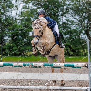 Nibe_Klasse_19_JM_Senior_Spring-19