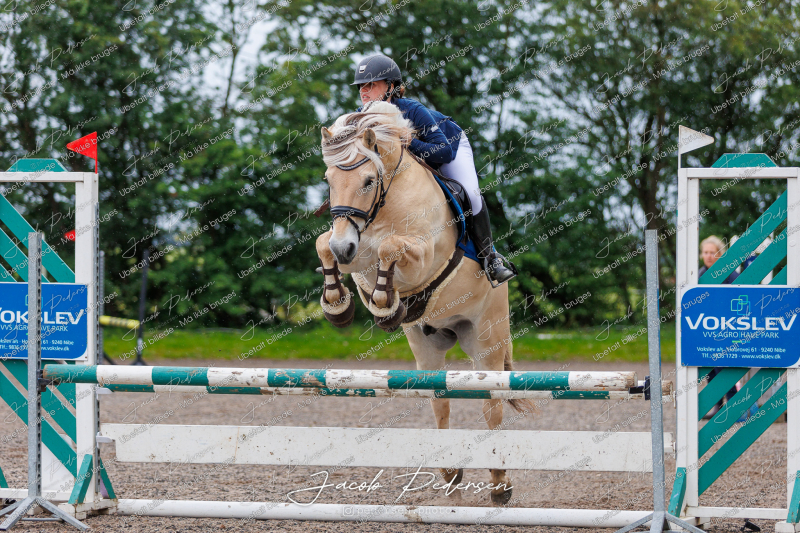 Nibe_Klasse_19_JM_Senior_Spring-19