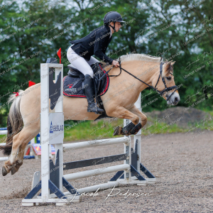 Nibe_Klasse_19_JM_Senior_Spring-26