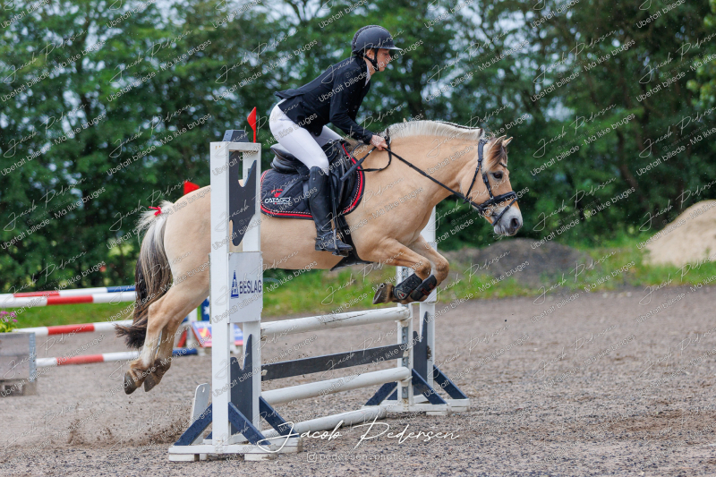 Nibe_Klasse_19_JM_Senior_Spring-26