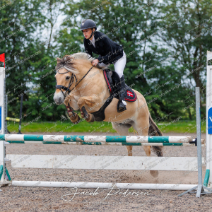 Nibe_Klasse_19_JM_Senior_Spring-27