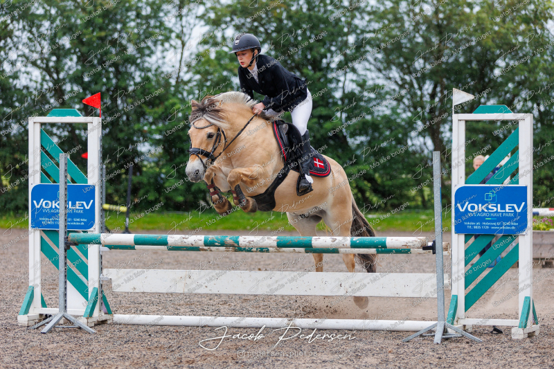 Nibe_Klasse_19_JM_Senior_Spring-27