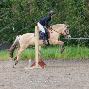 Nibe_Klasse_19_JM_Senior_Spring-28