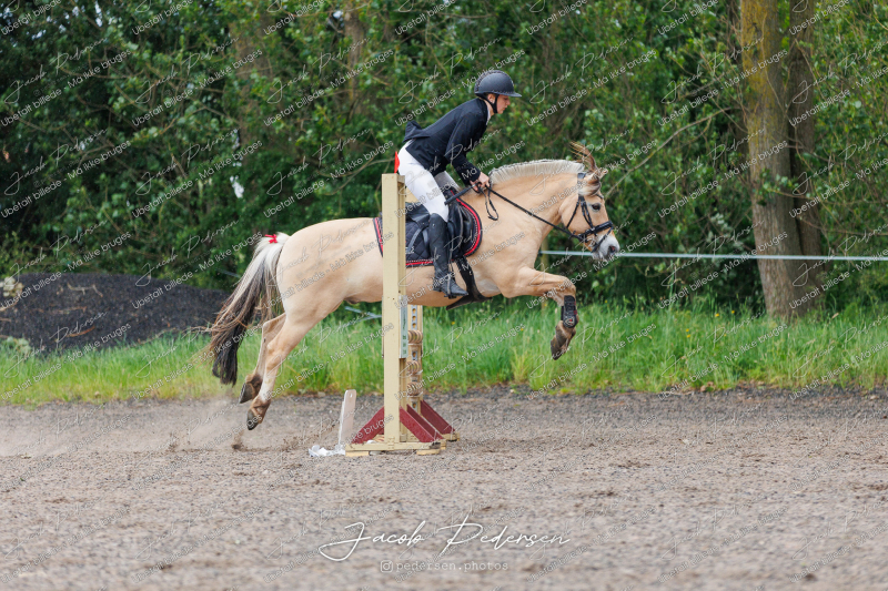 Nibe_Klasse_19_JM_Senior_Spring-28