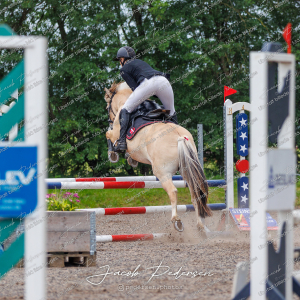 Nibe_Klasse_19_JM_Senior_Spring-29