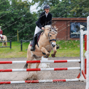 Nibe_Klasse_19_JM_Senior_Spring-31