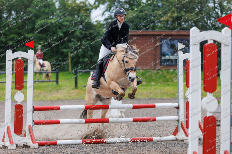 Nibe_Klasse_19_JM_Senior_Spring-31