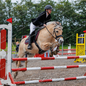 Nibe_Klasse_19_JM_Senior_Spring-32