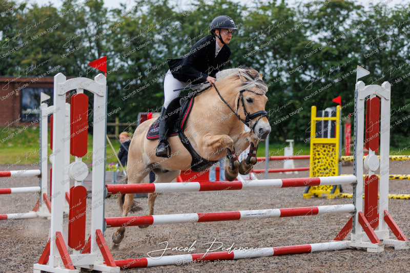 Nibe_Klasse_19_JM_Senior_Spring-32