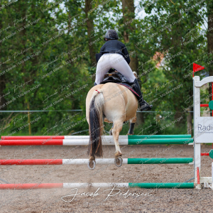 Nibe_Klasse_19_JM_Senior_Spring-33