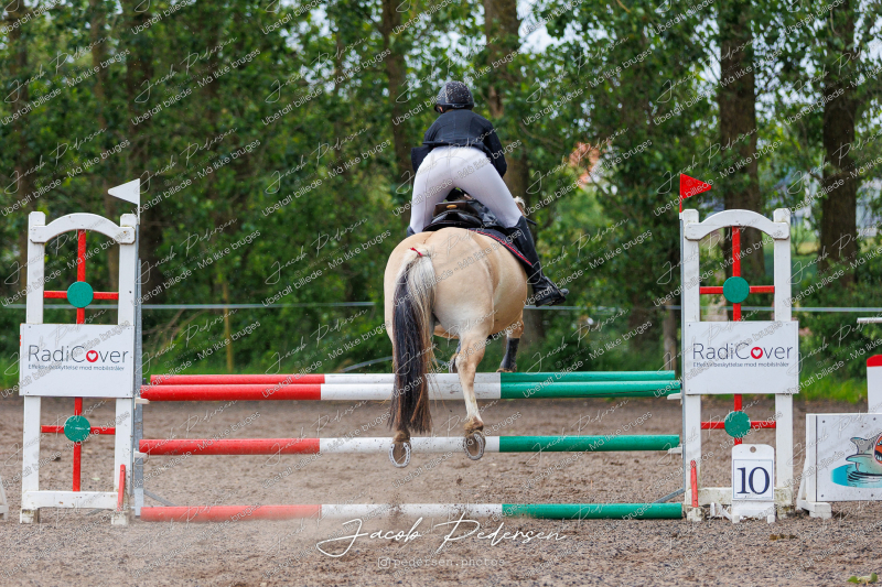 Nibe_Klasse_19_JM_Senior_Spring-33