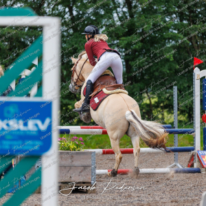 Nibe_Klasse_19_JM_Senior_Spring-36
