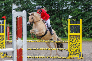Himmerlandsblakken Nibe - Klasse  19 Senior Spring
