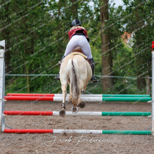 Nibe_Klasse_19_JM_Senior_Spring-40