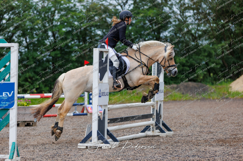 Nibe_Klasse_19_JM_Senior_Spring-41