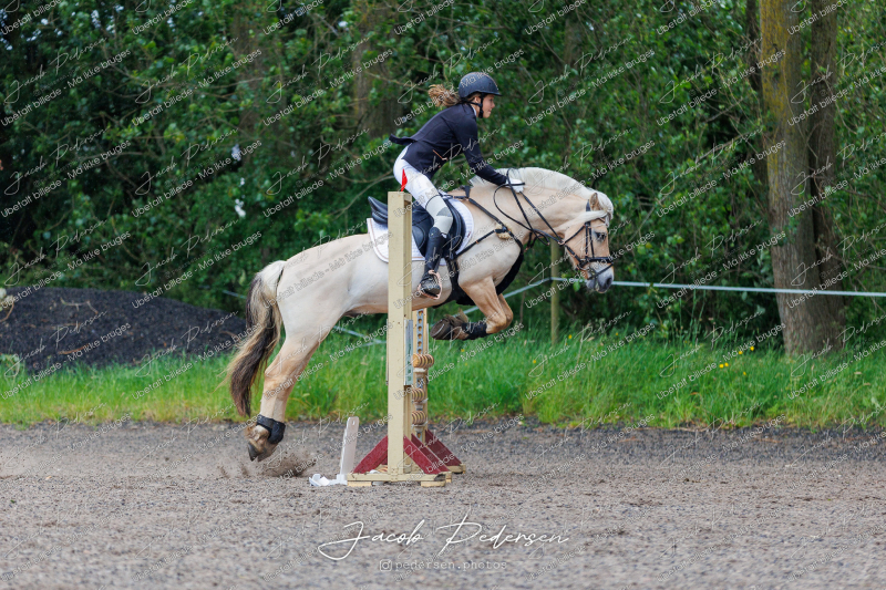 Nibe_Klasse_19_JM_Senior_Spring-43