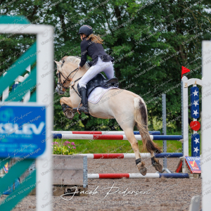 Nibe_Klasse_19_JM_Senior_Spring-44