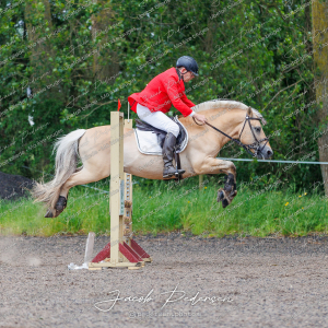 Nibe_Klasse_19_JM_Senior_Spring-51