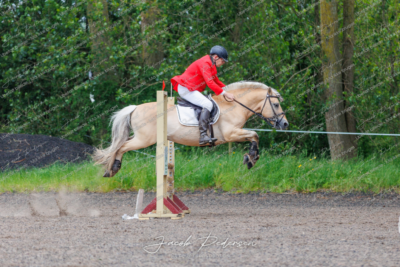 Nibe_Klasse_19_JM_Senior_Spring-51
