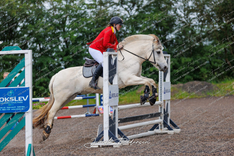 Nibe_Klasse_19_JM_Senior_Spring-58