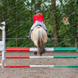 Nibe_Klasse_19_JM_Senior_Spring-7