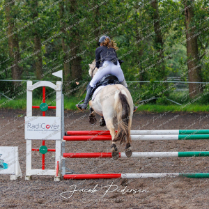 Nibe_Klasse_19_JM_Senior_Spring-78