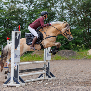 Nibe_Klasse_19_JM_Senior_Spring-9